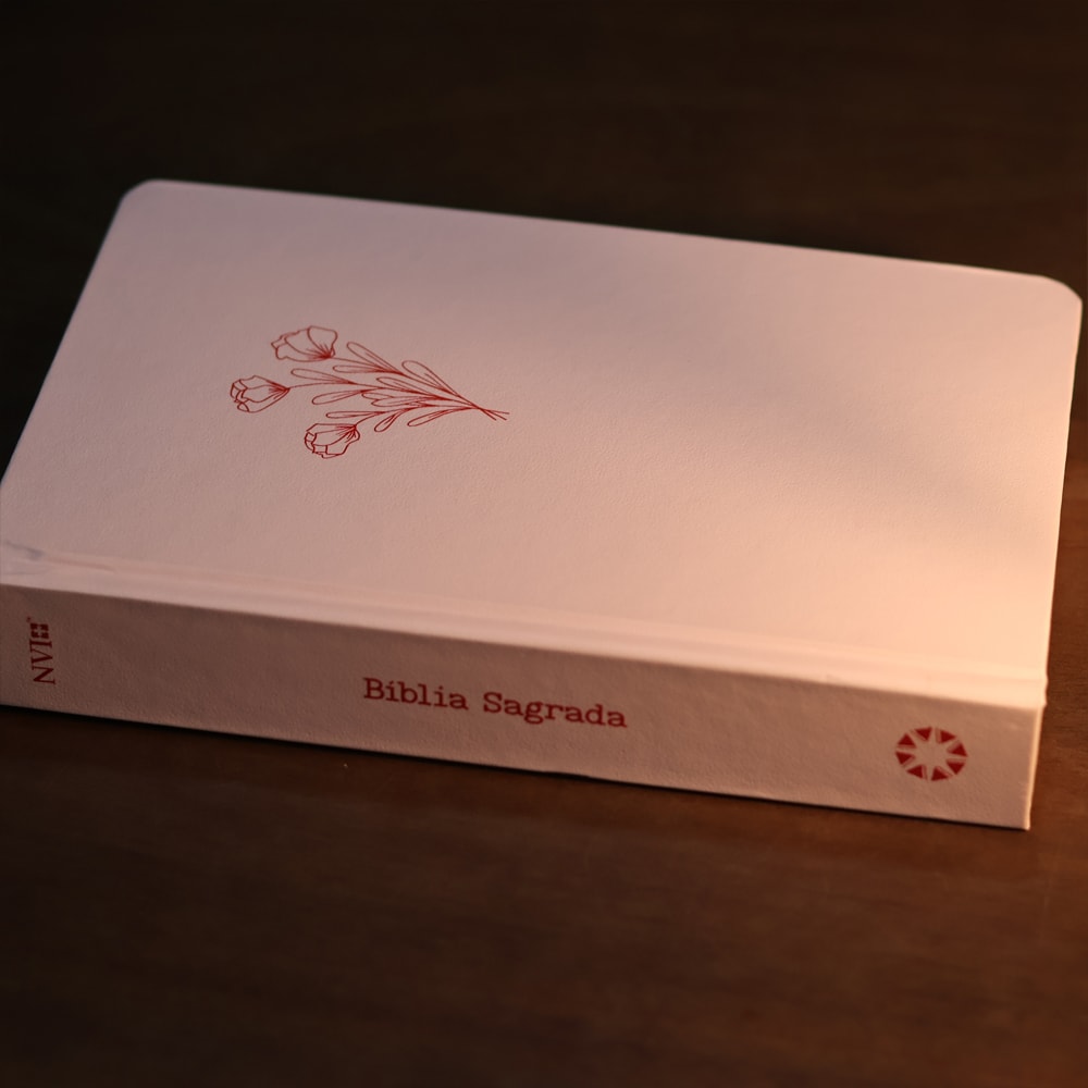 Bíblia Sagrada Aliança | NVI | Capa Dura