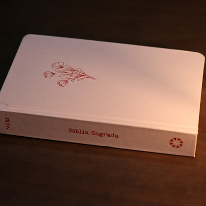 Bíblia Sagrada Aliança | NVI | Capa Dura