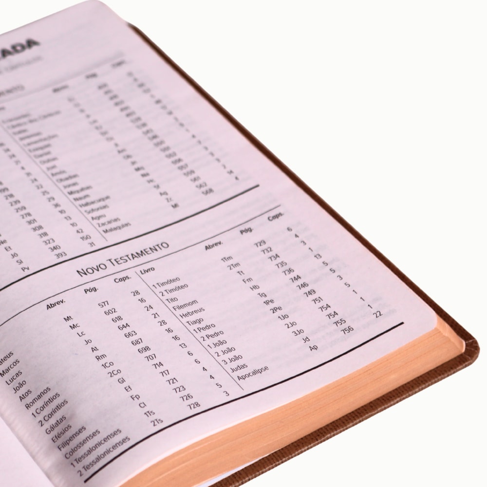Bíblia Sagrada Marrom | NVI | Capa Dura