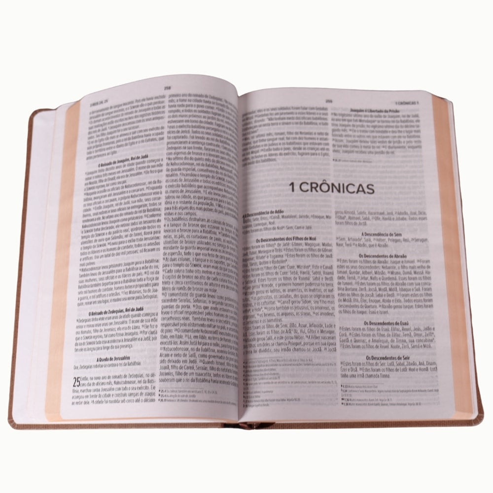 Bíblia Sagrada Marrom | NVI | Capa Dura