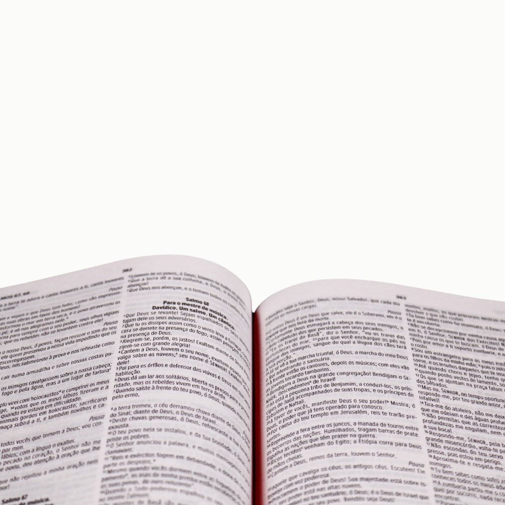Bíblia Sagrada Vinho | NVI | Capa Dura