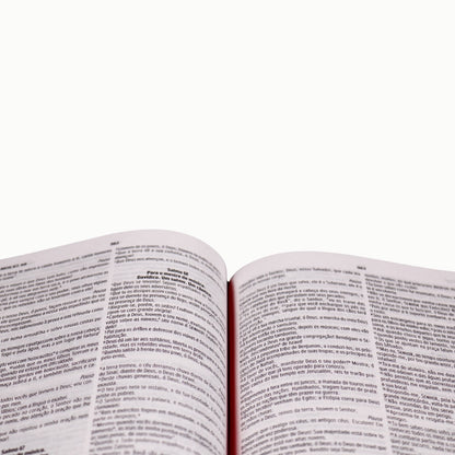 Bíblia Sagrada Vinho | NVI | Capa Dura