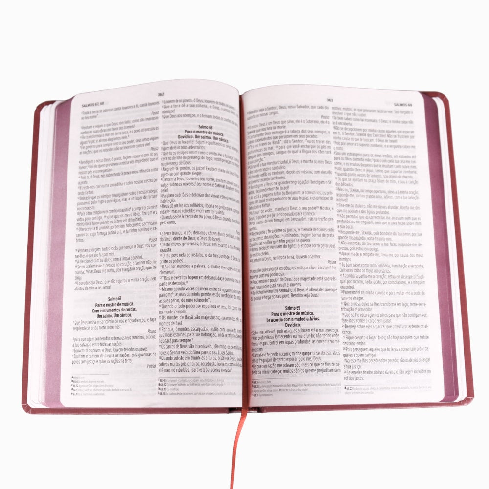 Bíblia Sagrada Vinho | NVI | Capa Dura