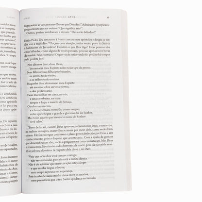 Imersão: Uma Nova Experiência de Leitura Bíblica | Lucas e Atos