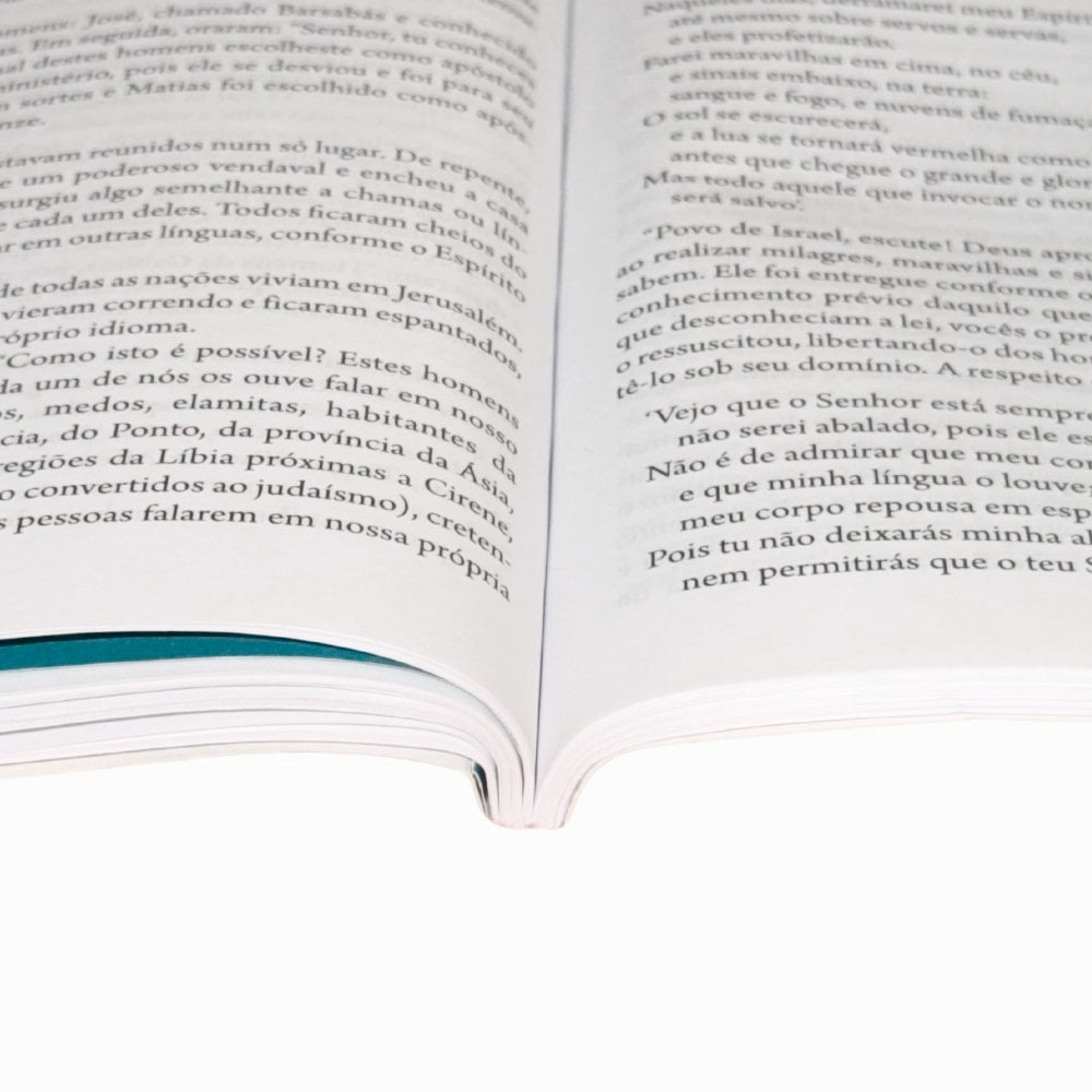 Imersão: Uma Nova Experiência de Leitura Bíblica | Lucas e Atos