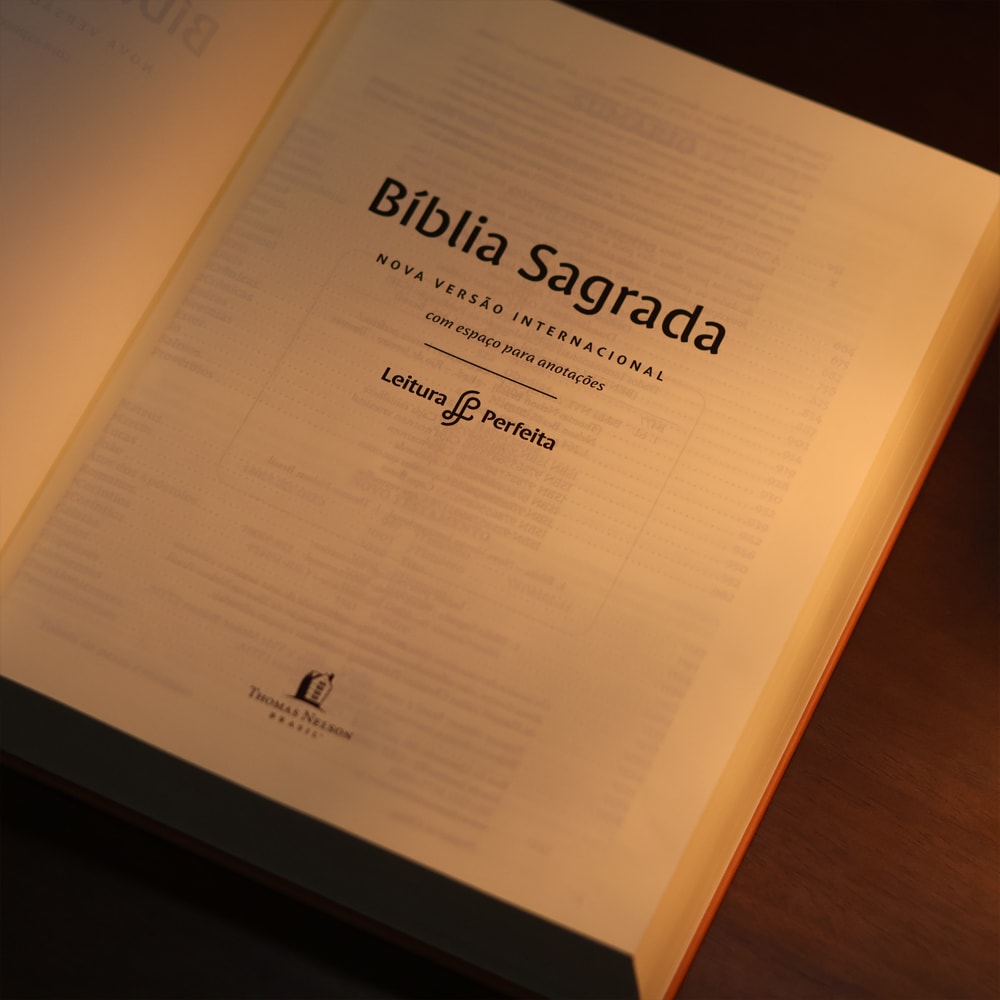 Bíblia Sagrada Centésima | NVI | Letra Normal | Espaço P/ Anotação | Capa Dura