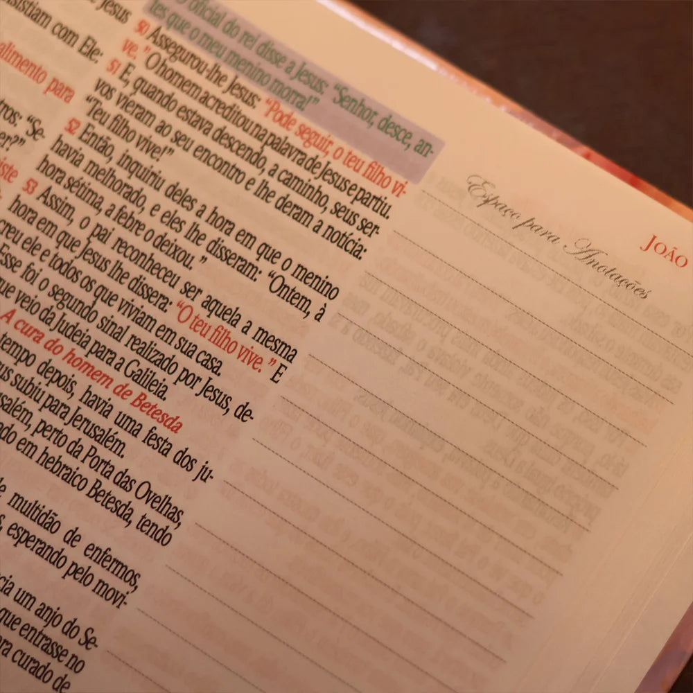 Bíblia King James 1611 Magnólia | Textos e Mapas Coloridos | Capa Dura