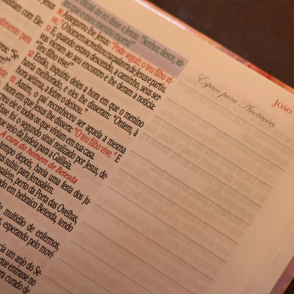 Bíblia King James 1611 Magnólia | Textos e Mapas Coloridos | Capa Dura