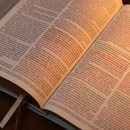 Bíblia de Estudo Para Toda Mulher | NVT | Capa Azul