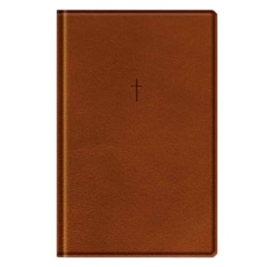 Bíblia Sagrada | NAA | Letra Grande | Marrom