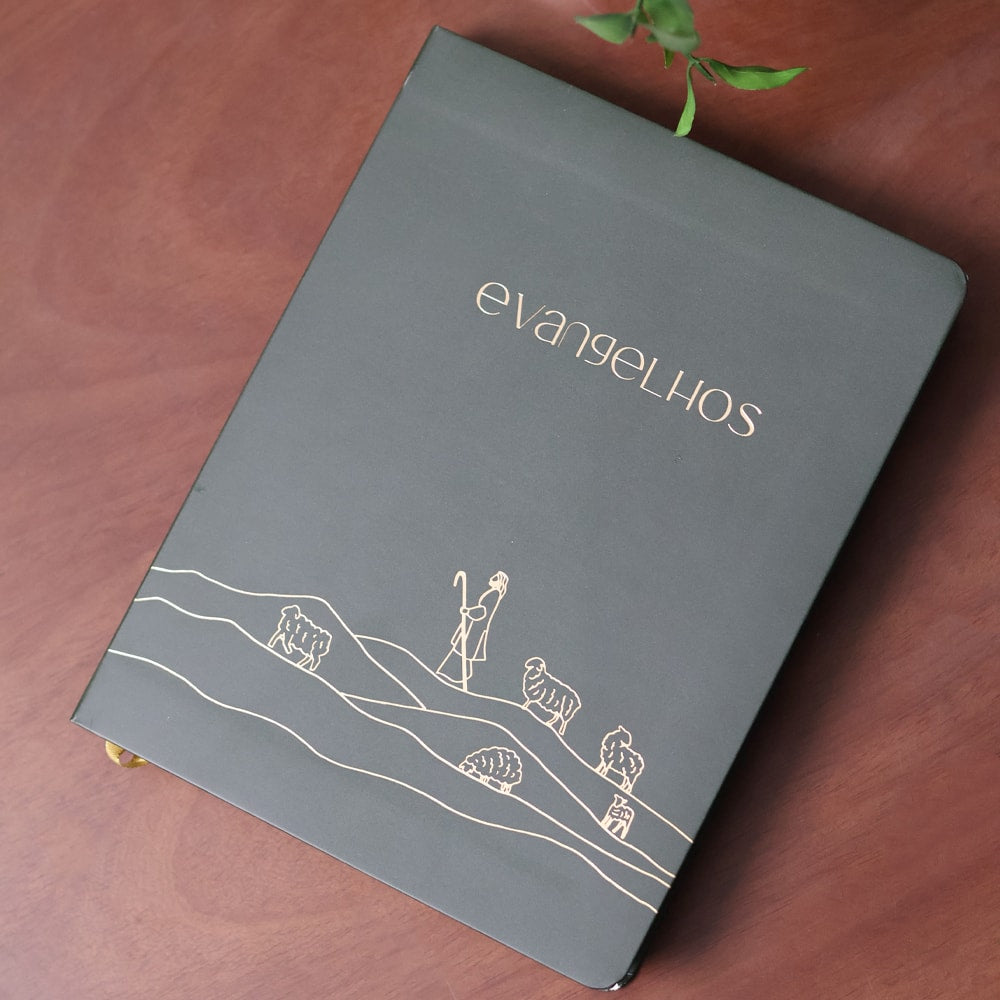 Bible Journal | Evangelhos