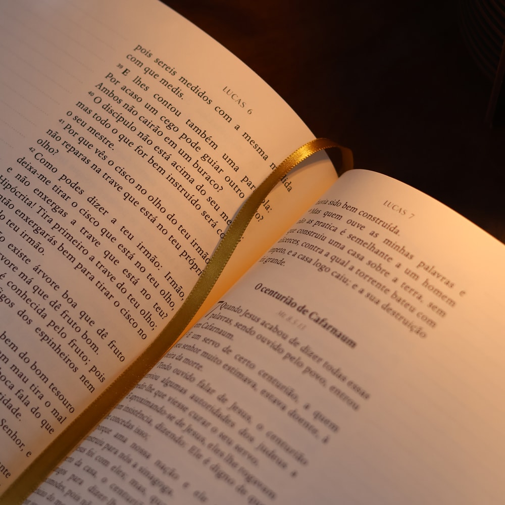 Bible Journal | Evangelhos