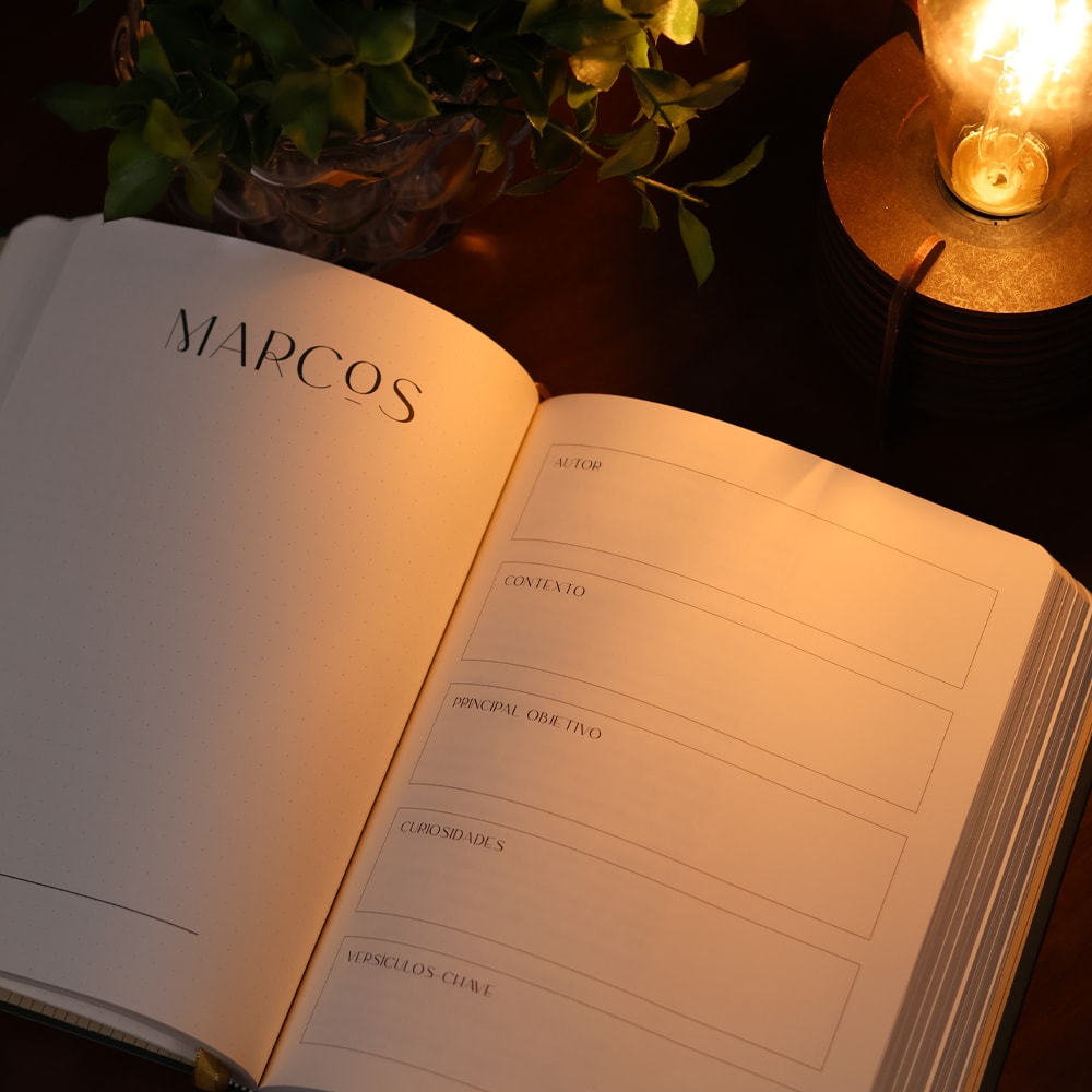 Bible Journal | Evangelhos