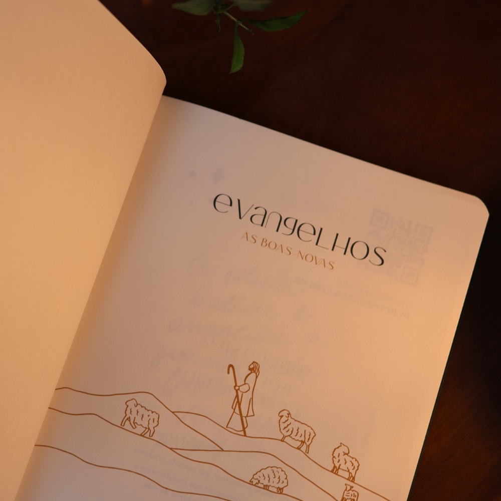 Bible Journal | Evangelhos
