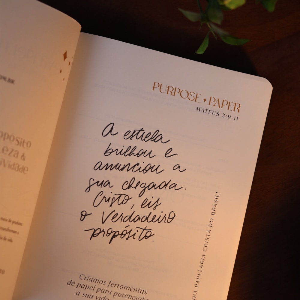 Bible Journal | Evangelhos