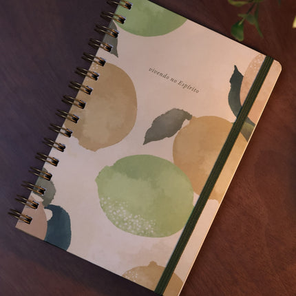 Caderno Vivendo no Espírito | Limões