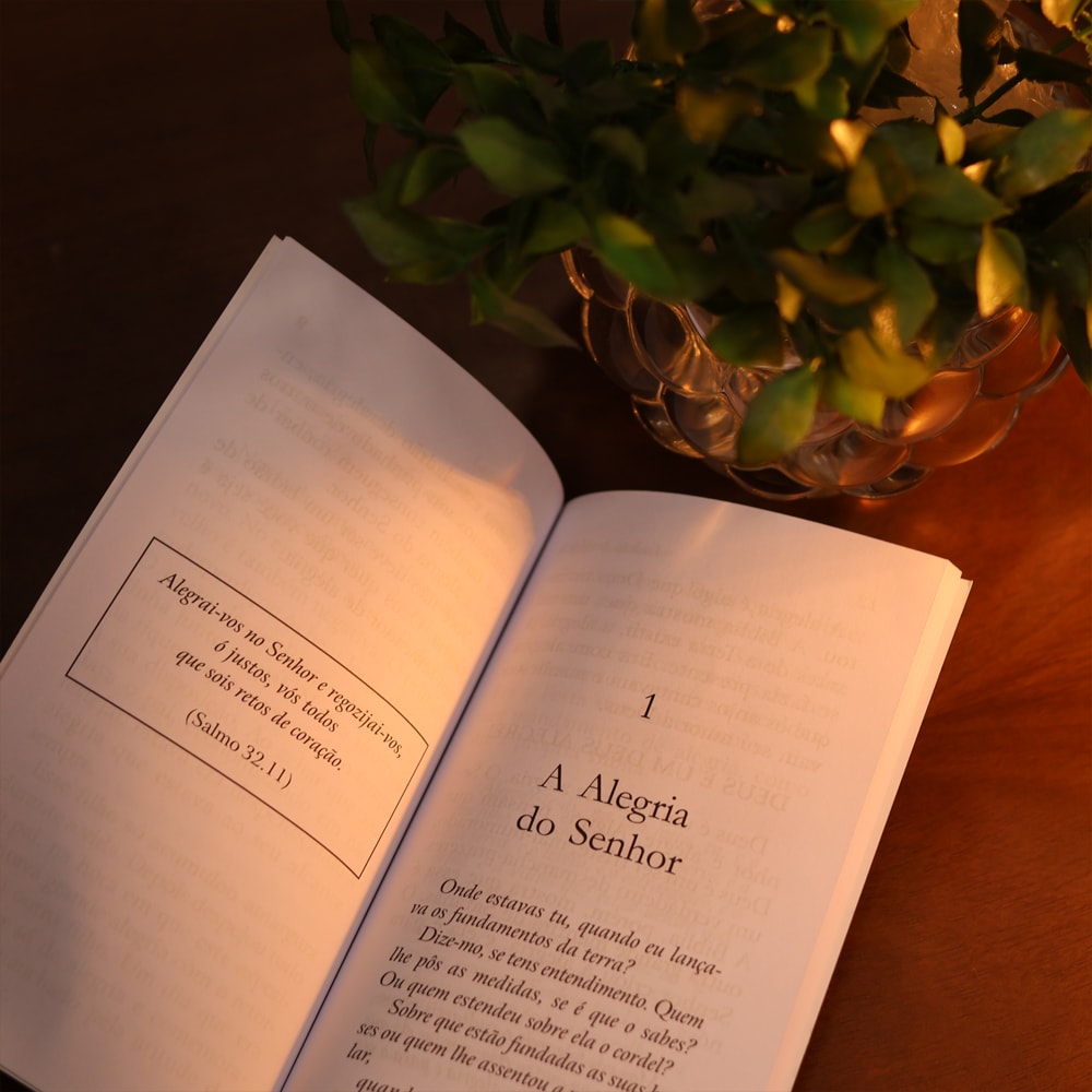 Ladrão de Alegria | Jorge Linhares