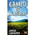 Campo de Lentilhas | Jorge Linhares