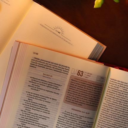 Bíblia Diária Coração Florido | NVI | Leitura Perfeita | Capa Dura C/ Tecido