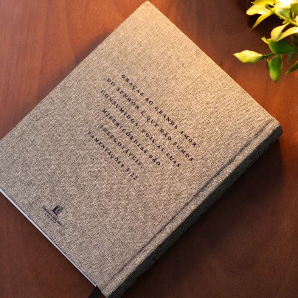 Bíblia Diária Cinza | NVI | Leitura Perfeita | Capa Dura C/ Tecido