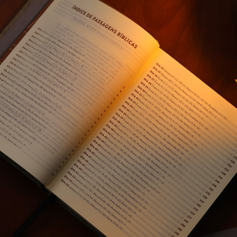 Bíblia Diária Cinza | NVI | Leitura Perfeita | Capa Dura C/ Tecido
