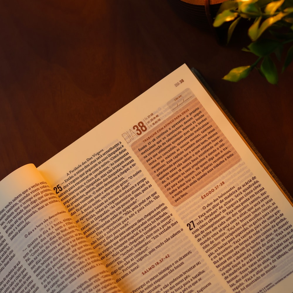 Bíblia Diária Cinza | NVI | Leitura Perfeita | Capa Dura C/ Tecido