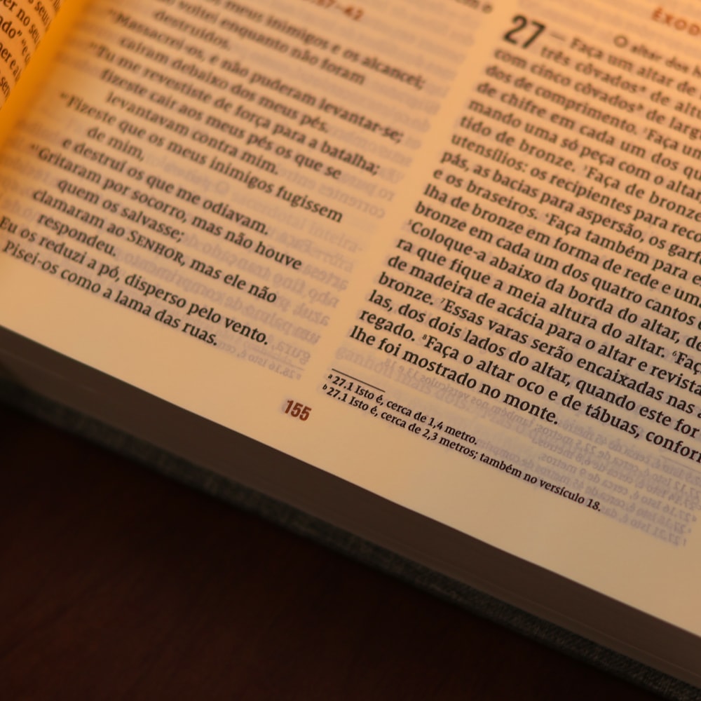 Bíblia Diária Cinza | NVI | Leitura Perfeita | Capa Dura C/ Tecido