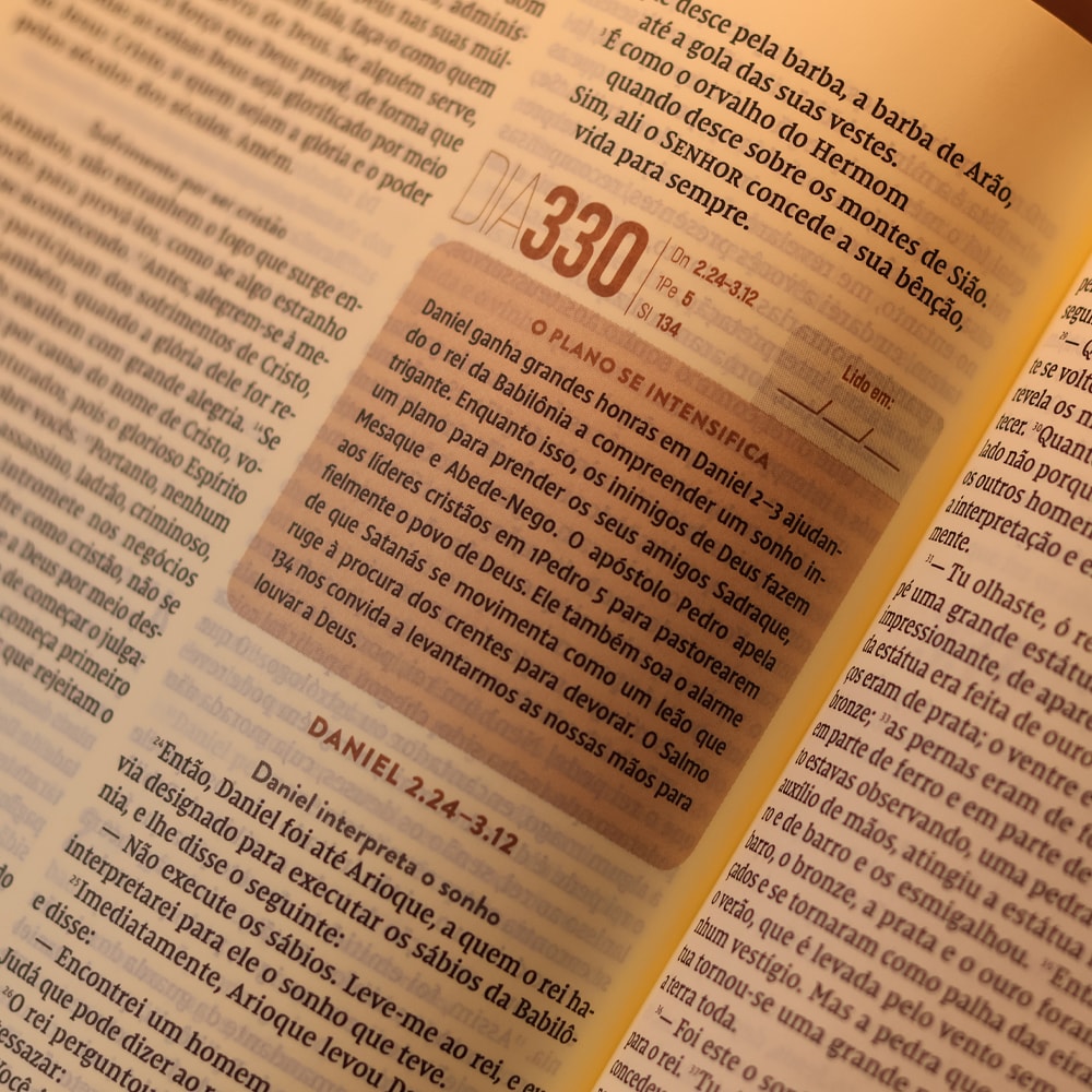 Bíblia Diária Cinza | NVI | Leitura Perfeita | Capa Dura C/ Tecido