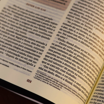 Bíblia Diária Montanha| NVI | Leitura Perfeita | Capa Brochura