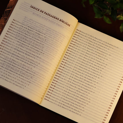 Bíblia Diária Montanha| NVI | Leitura Perfeita | Capa Brochura