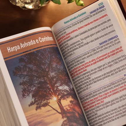 Bíblia Sagrada | Letra Jumbo | ARC | Harpa Avivada e Corinhos | Capa PU Luxo Arabesco Caramelo