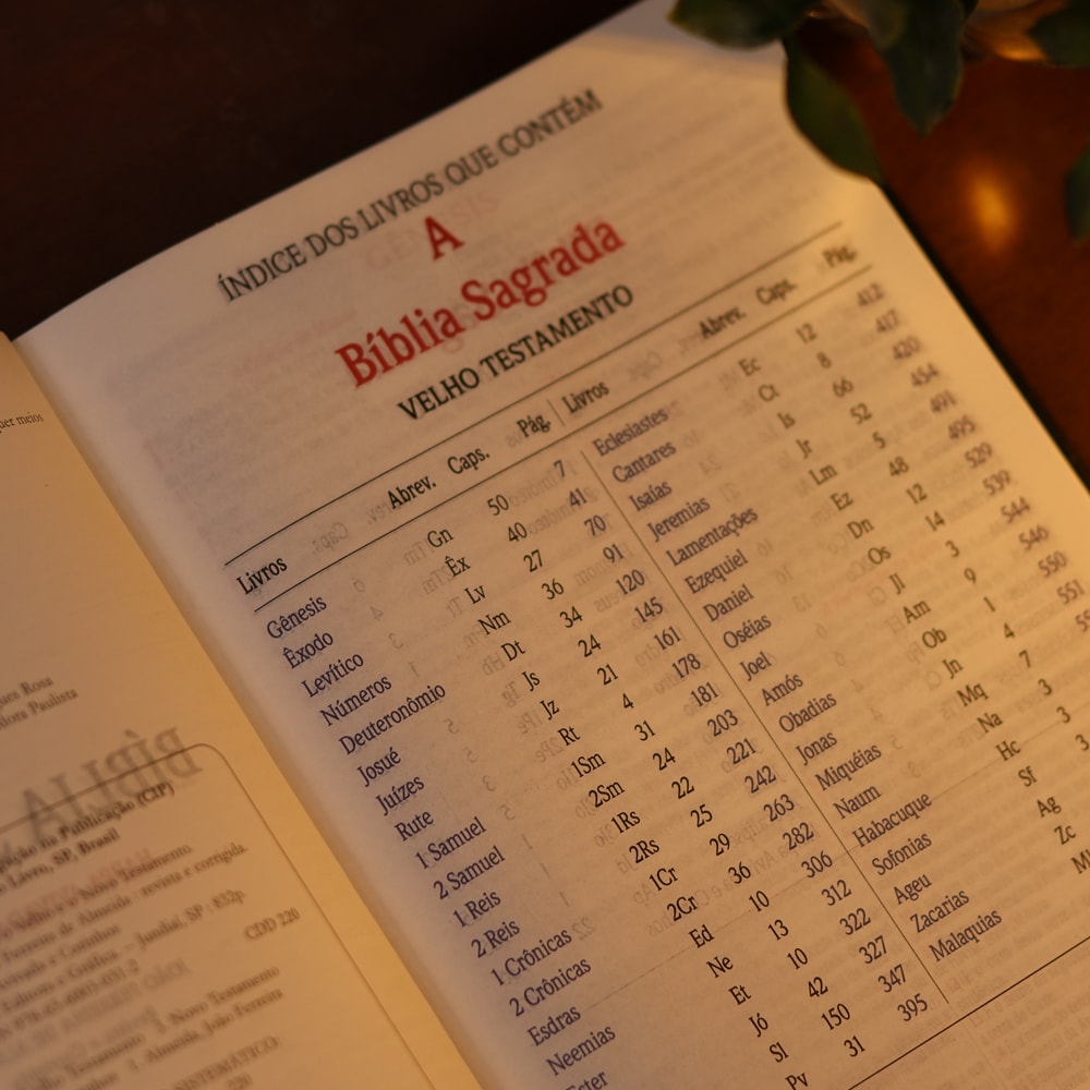 Bíblia Slim | Letra Normal | NVA | Capa Premium Luxo Cruz Marrom