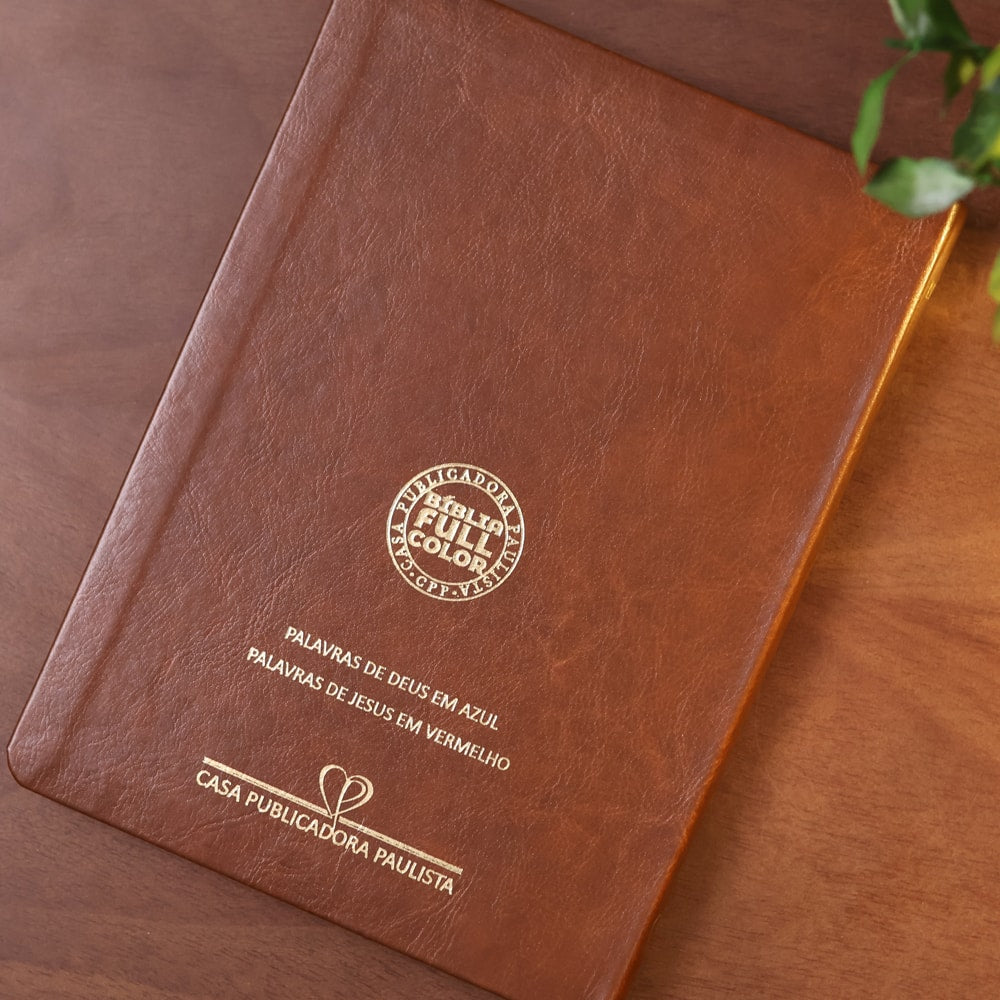 Bíblia Slim | Letra Normal | NVA | Capa Premium Luxo Minimalista Marrom