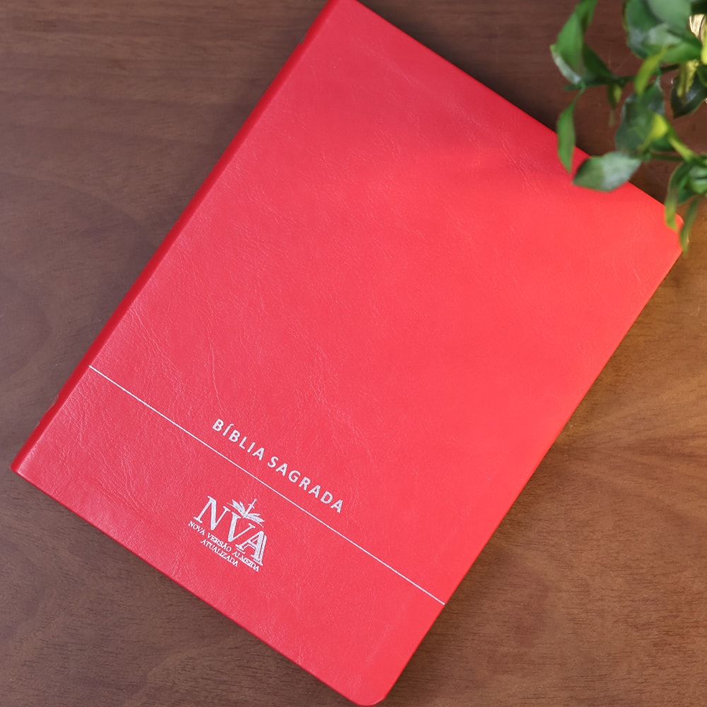 Bíblia Slim | Letra Normal | NVA | Capa Premium Luxo Minimalista Vermelha
