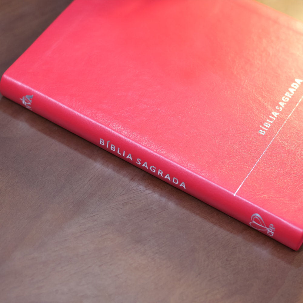 Bíblia Slim | Letra Normal | NVA | Capa Premium Luxo Minimalista Vermelha