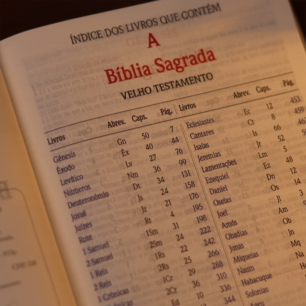 Bíblia Slim | Letra Normal | NVA | Capa Premium Luxo Minimalista Vermelha