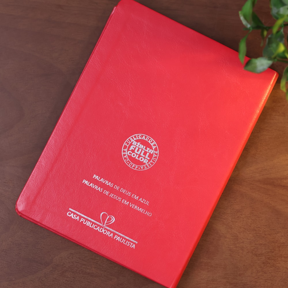 Bíblia Slim | Letra Normal | NVA | Capa Premium Luxo Minimalista Vermelha