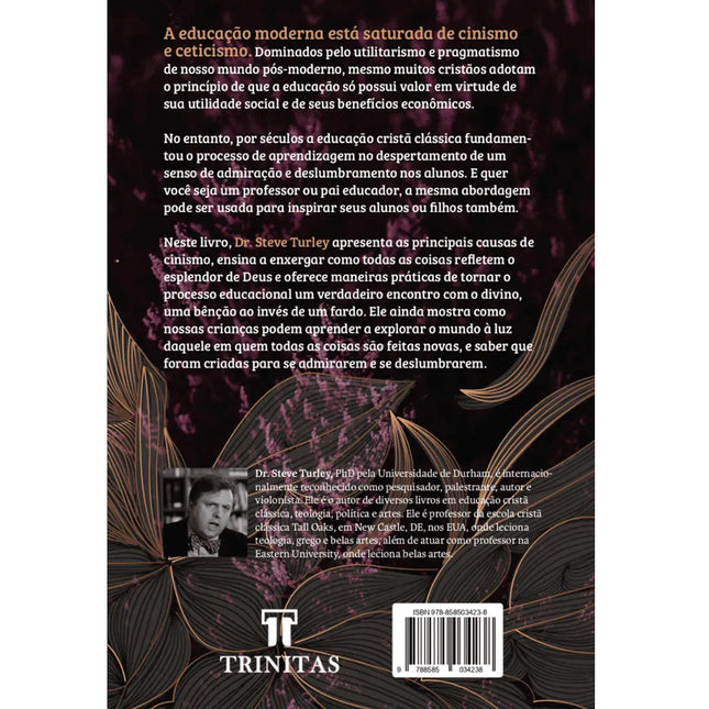 Teologia do Deslumbramento | Steve Turley