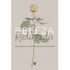 Beleza Redimida | Steve Turley