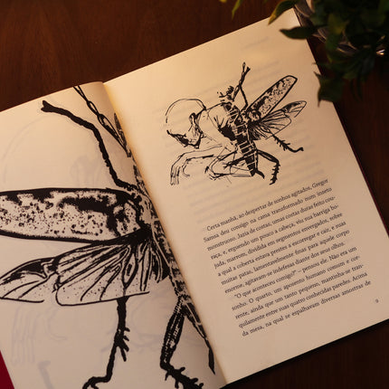 A Metamorfose | Franz Kafka