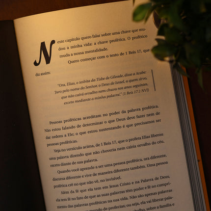Mentalidade de Alto Nível | Vinicius Iracet