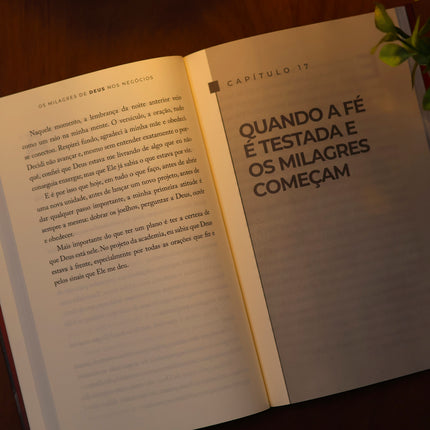 Os Milagres de Deus Nos Negócios | Nelson Lins