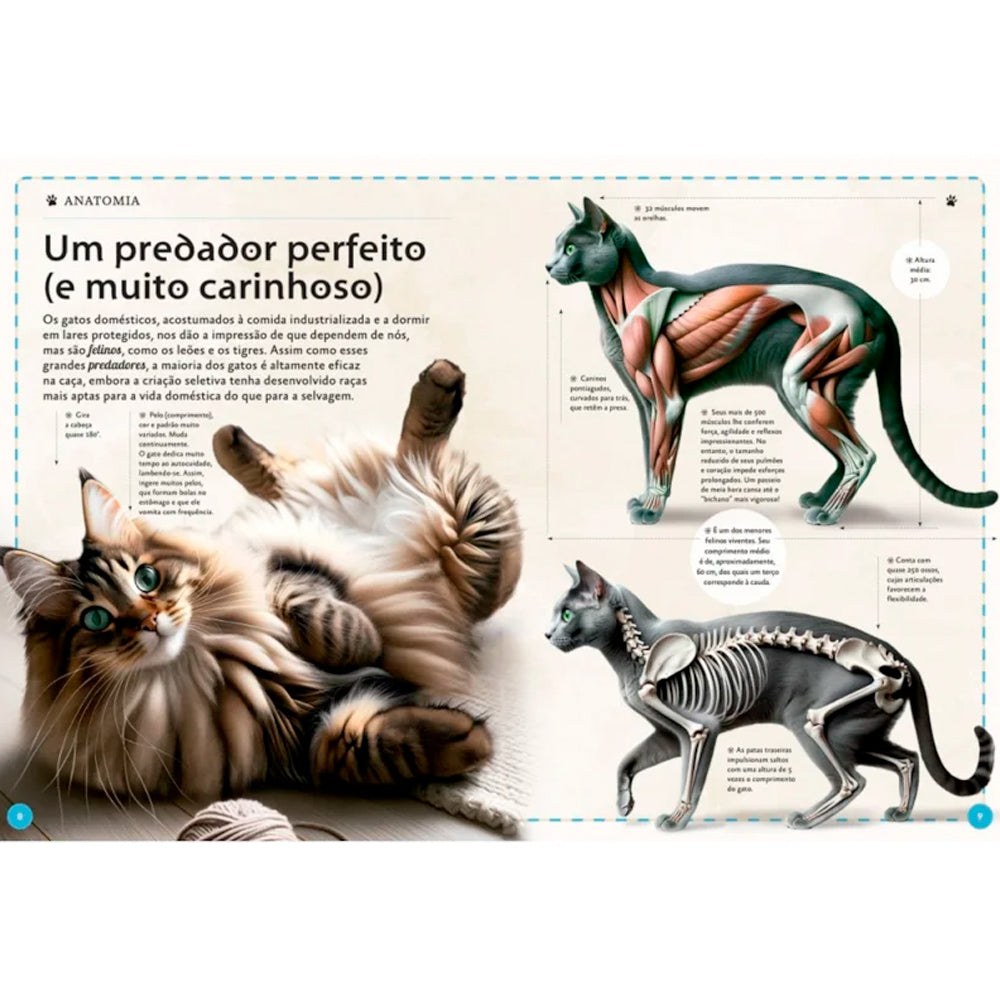 O Magnífico Livro dos Gatos | Eliseo García Nieto