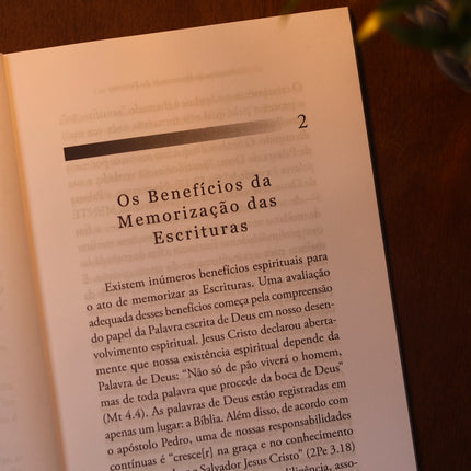 Um Método Para Memorização Extensiva da Bíblia | Andrew M. Davis