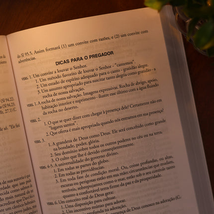 Esboços Bíblicos de Salmos | C. H. Spurgeon