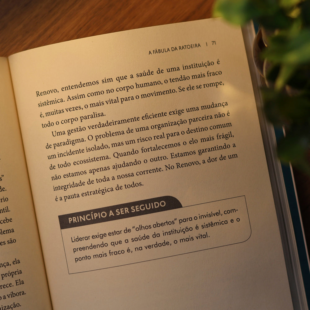 Muitas Andorinhas Fazem Verão | Cilas Fiuza Gavioli