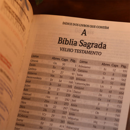 Bíblia Sagrada | Letra Gigante | ARC | C/ Harpa e Corinhos | Capa Premium Luxo Flores Pink