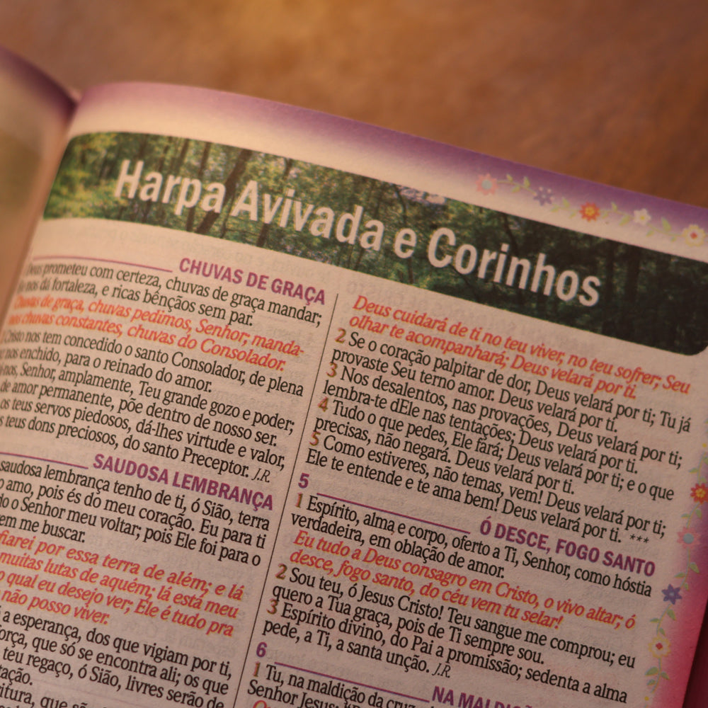 Bíblia Sagrada Menina Com Rendas | ARC | Letra Gigante | Harpa Avivada e Corinhos | Capa Dura