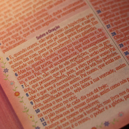 Bíblia Sagrada Leão Rosa | ARC | Letra Gigante | Harpa Avivada e Corinhos | Capa Dura Carteira