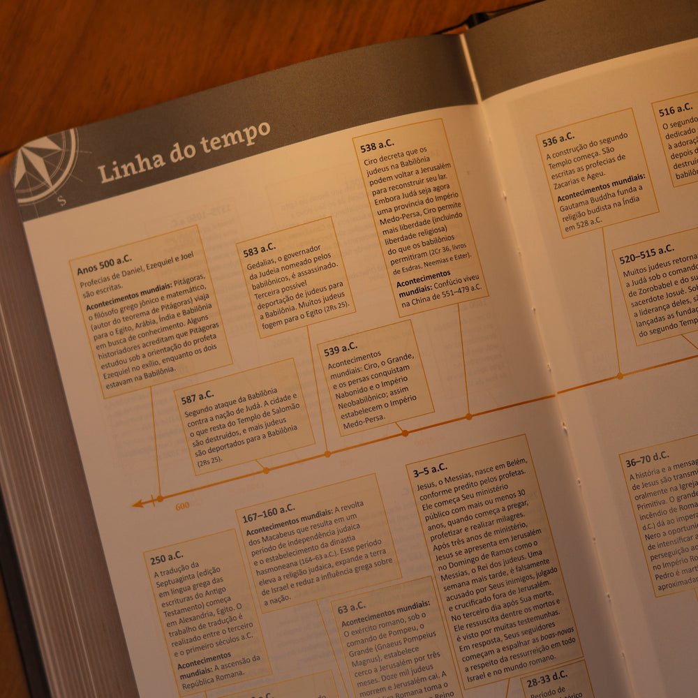 Bíblia Sagrada Com Recursos | NVT | Capa Dura Leão